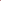 Pink Zebra Set