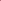 Pink Zebra Set